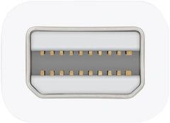 Apple Thunderbolt to FireWire Adapter